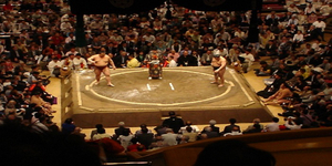 sumo.jpg