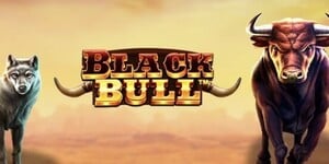 Black Bull