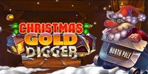 Christmas Gold Digger